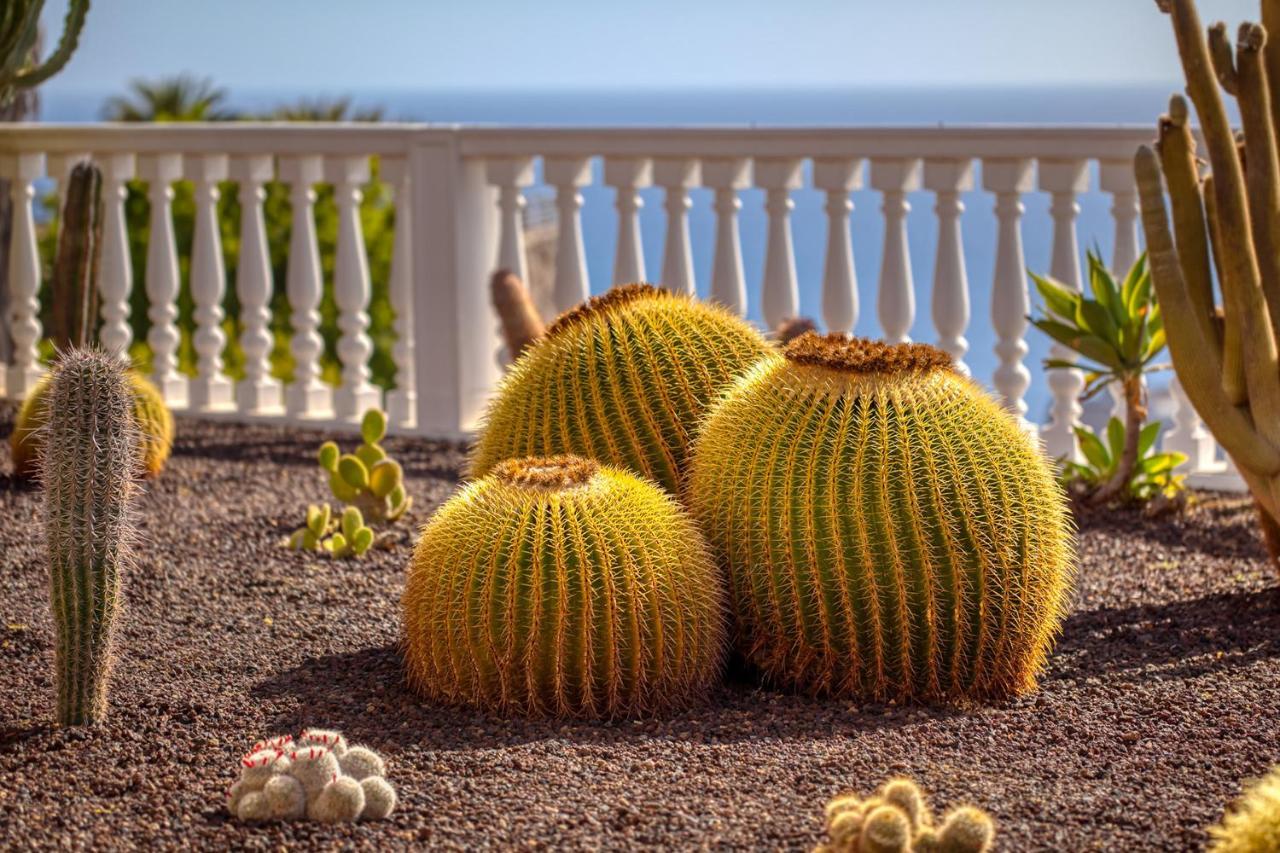 Stunning Villa With Breathtaking Ocean View Mogan Bagian luar foto